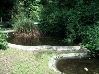laghetto cittadino